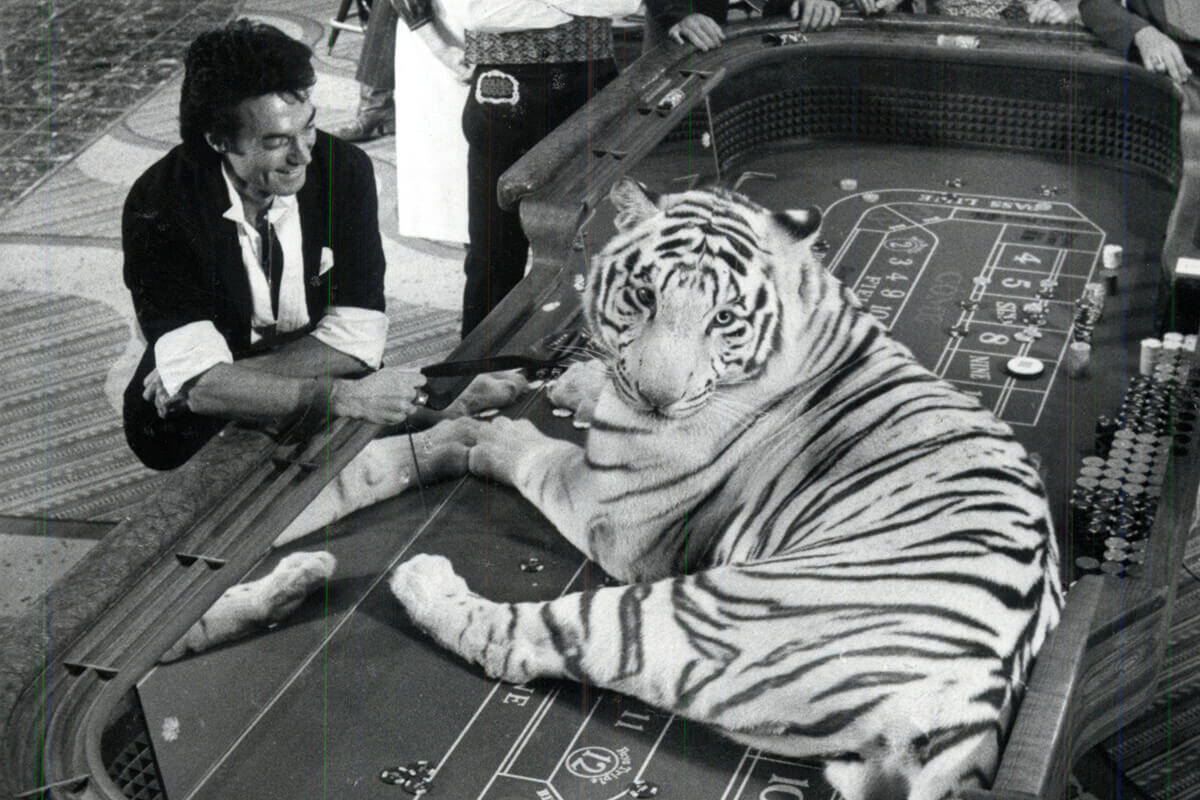 Illusionist Roy Horn of Siegfried & Roy poses with a white tiger on a craps table at McCarran I ...