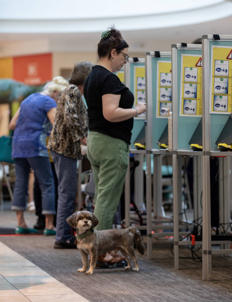 Alfie the dog waits for their owner Alicia Halloran to cast their ballot during the Nevada Prim ...