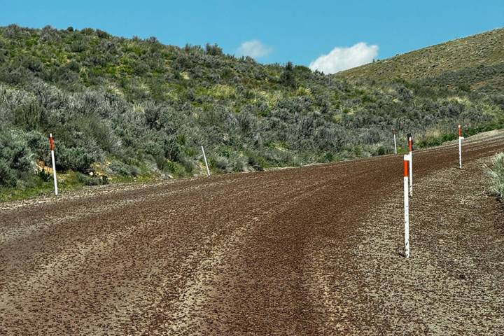 NDOT crews are having to use snowplows to clear Mormon crickets from state highways in northeas ...