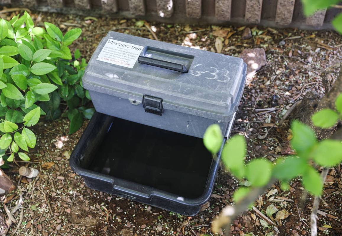 A Southern Nevada Health District gravid trap for mosquitos at Discovery Park in Henderson, Thu ...