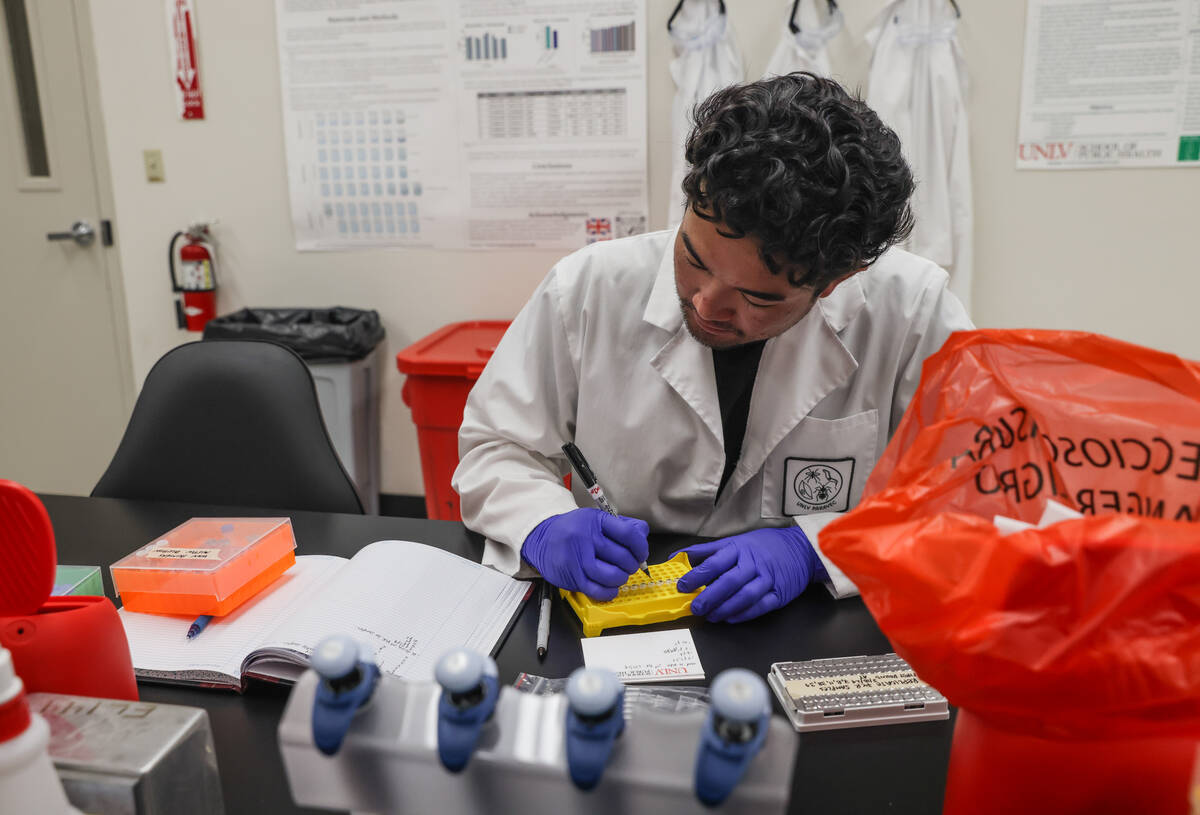 Graduate student Austin Tang works on testing West Nile virus samples in a lab at UNLV in Las V ...