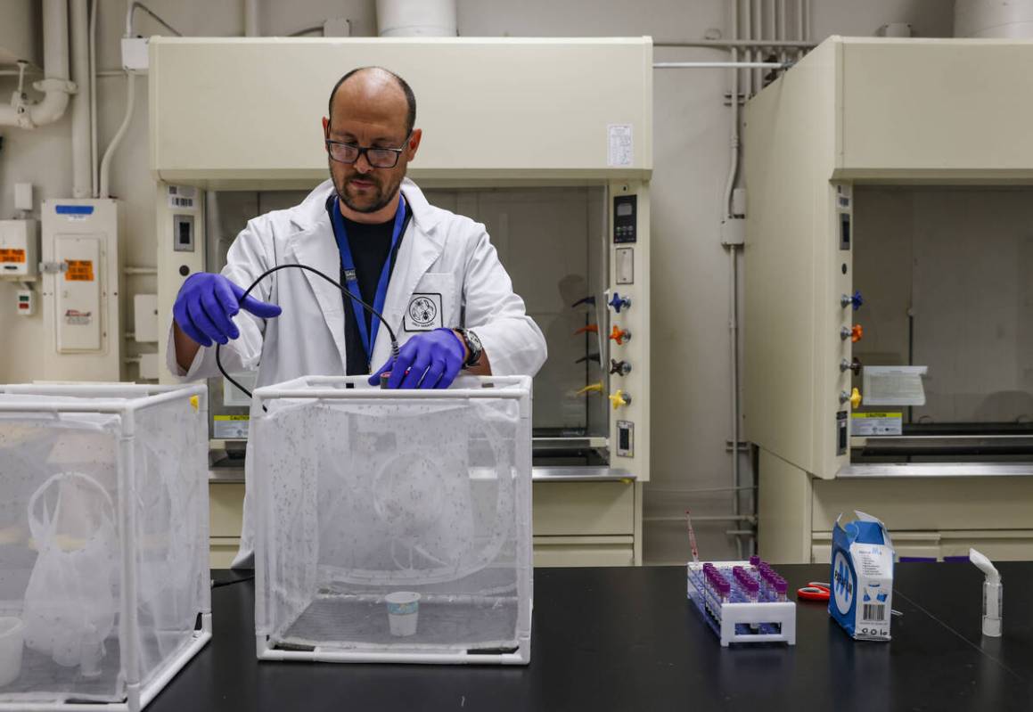 Richard Oxborough, a medical entomologist, inserts a device with blood to feed mosquitoes in a ...