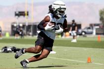 Raiders wide receiver Kristian Wilkerson (83) runs with the ball during an NFL football practic ...