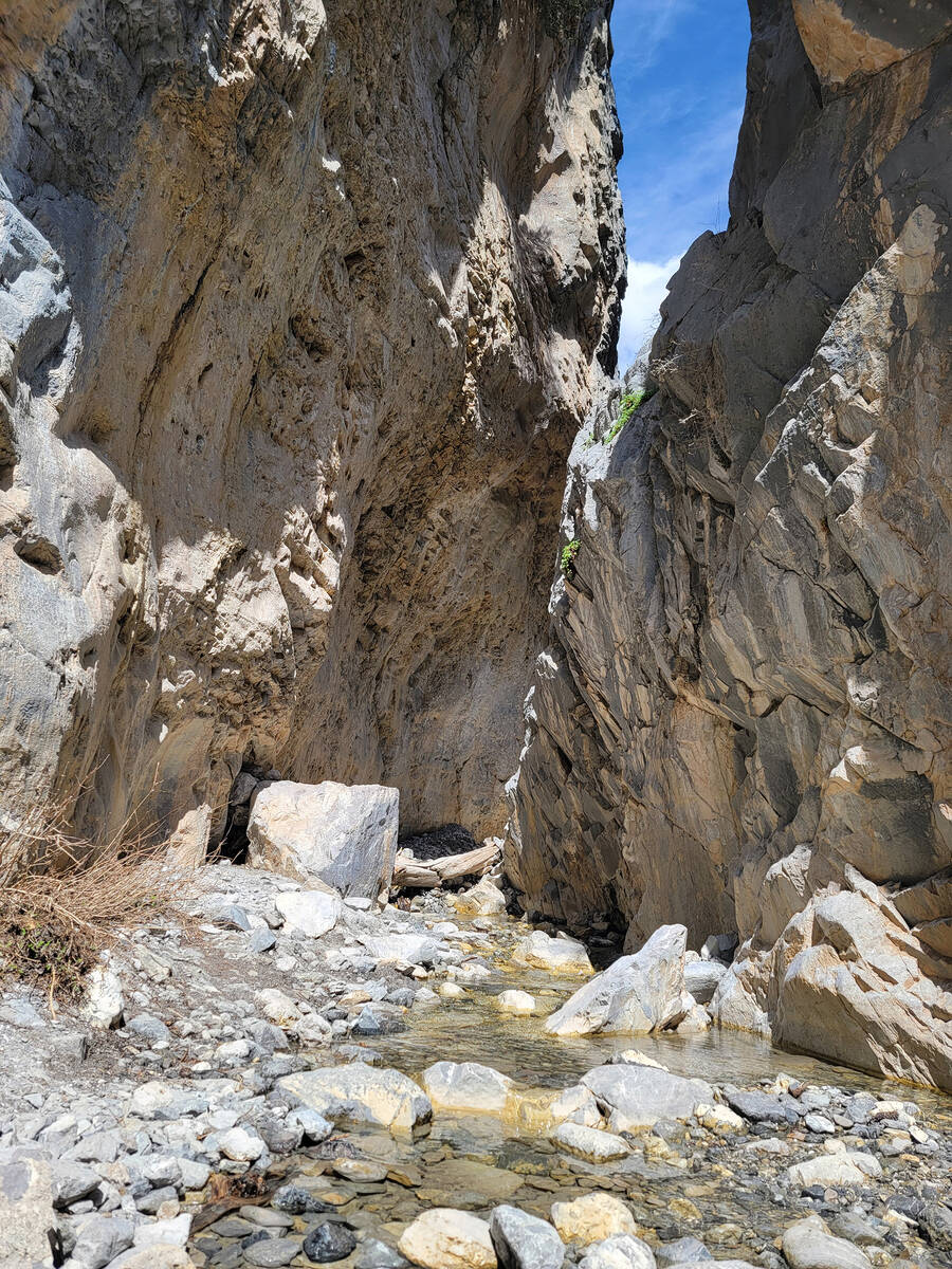 Towering cliffs and seasonal water flow are part of Fletcher Canyon trail, which remains open w ...