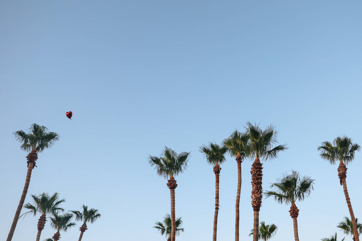 A single balloon floats away during a vigil for Kayla Harris, who was killed in a quintuple hom ...