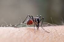 The Southern Nevada Health District has identified two cases of West Nile virus for this season ...