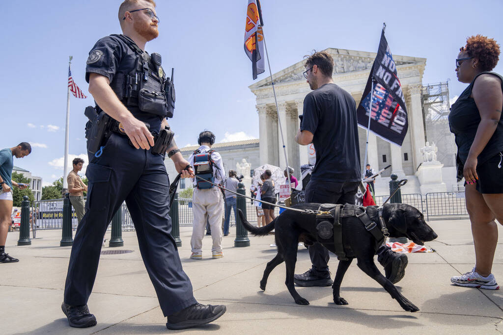 A U.S. Capitol Police officer and K-9 patrol pass protesters by the Supreme Court, Monday, July ...