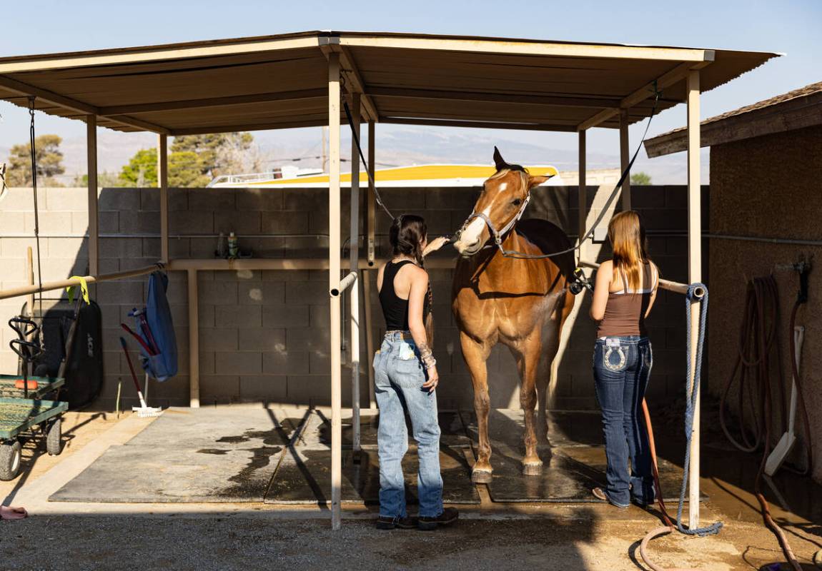 Claire McCaffery, left, helps Daydia Pachecl, 16, right, cool down Remy with a morning shower a ...