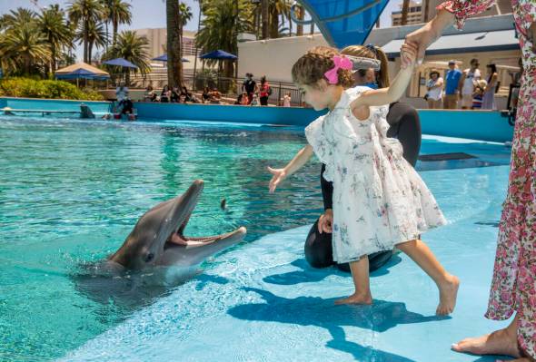 (From left) Sophie Santos, 3, feeds Maverick with instructions from Dolphin Care Specialist Jen ...