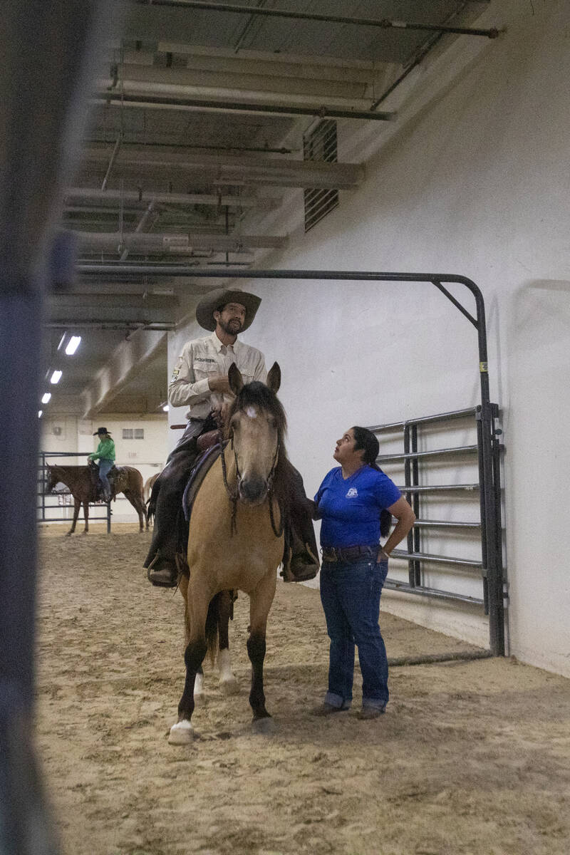 Competitors wait in a chute before competing in the Mustang Challenge at South Point Arena, Fri ...