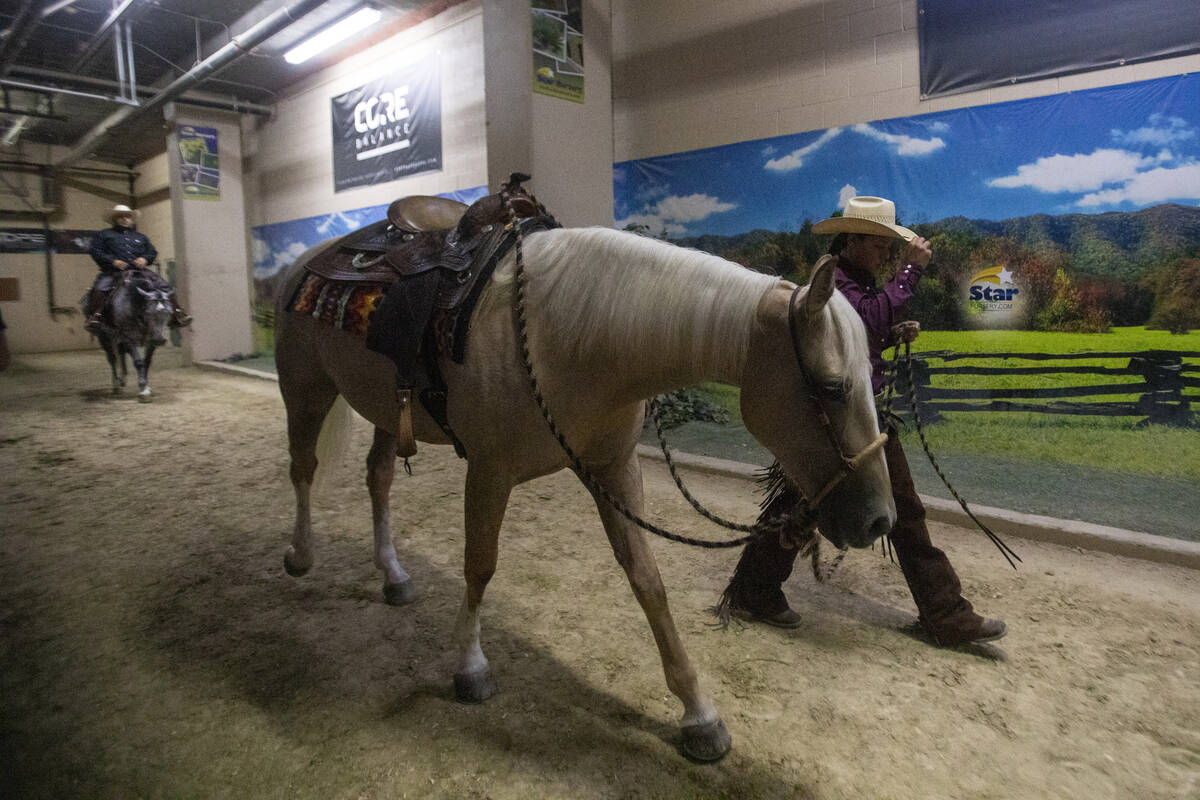 Competitors walk their mustangs to the warm-up area during the Mustang Challenge at South Point ...