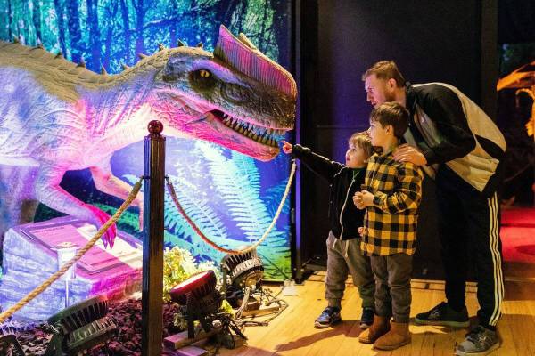 Explore prehistoric times at the Dino Safari. (Imagine Exhibitions)