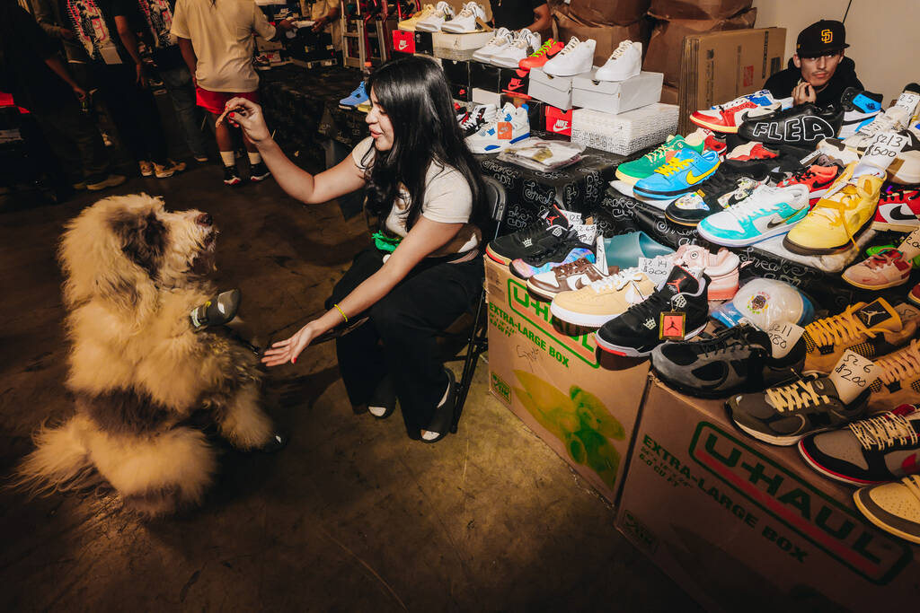 Ashley Martin Del Campo feeds her dog, Kobi, a treat during Sneaker Con at the Mandalay Bay Con ...
