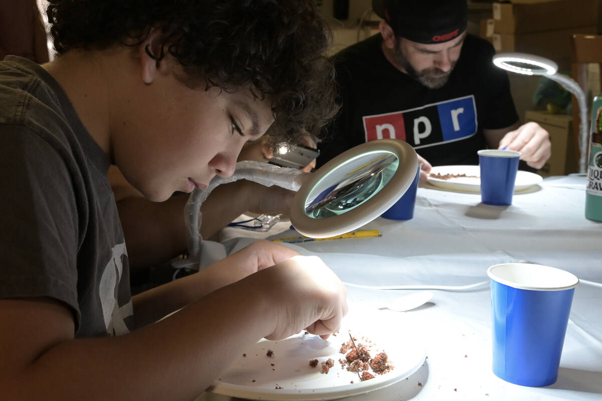 Shylin Hagood cleans and sorts native plant seeds as part of the Native Habitat Program at Get ...