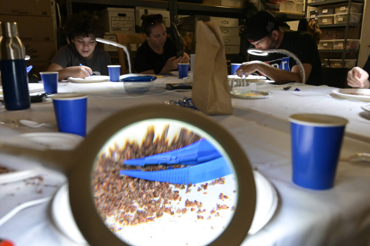 Volunteers clean and sort native plant seeds as part of the Native Habitat Program at Get Outdo ...