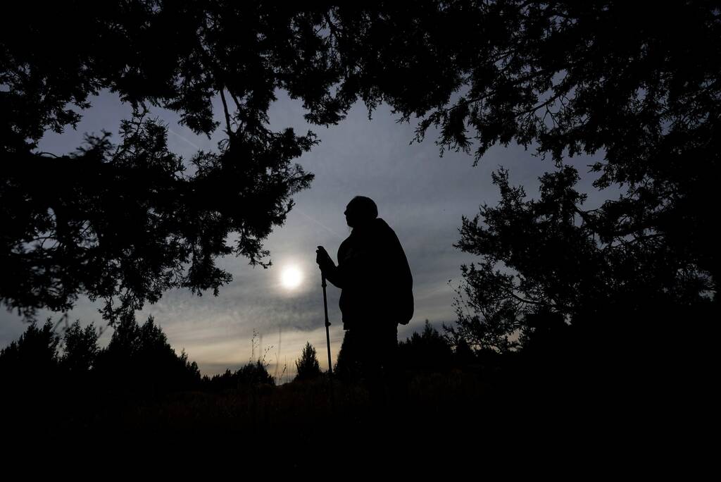 Delaine Spilsbury, an Ely Shoshone elder, stands among Rocky Mountain juniper trees on Nov. 11, ...