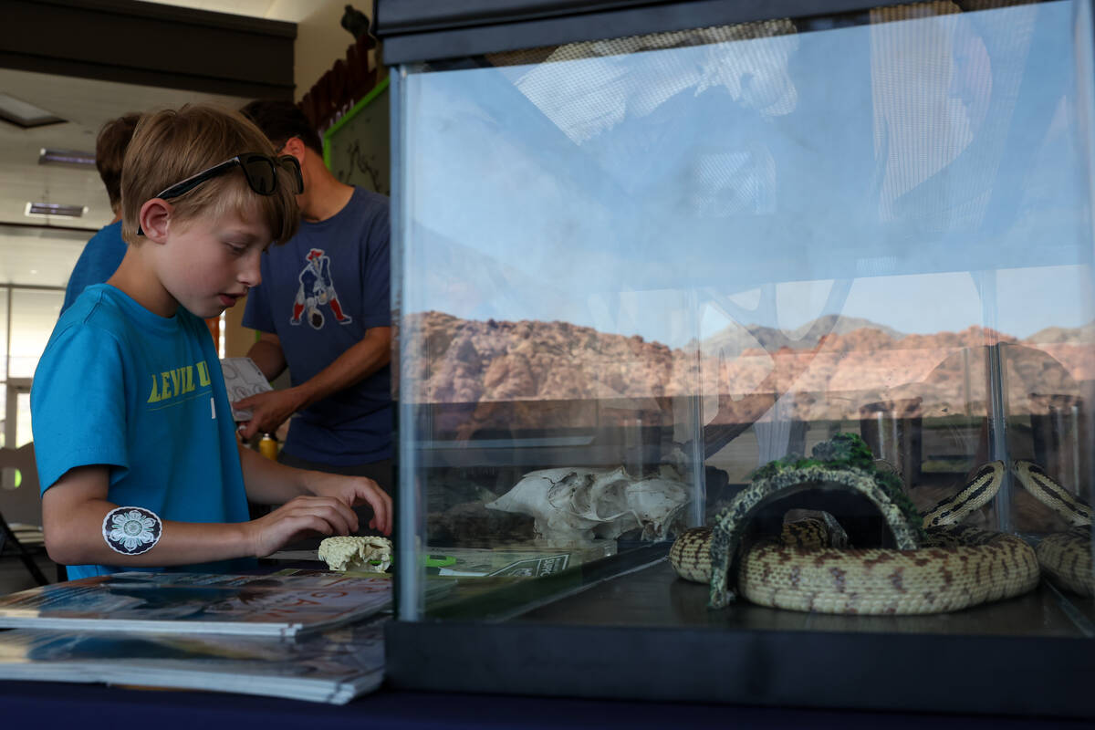 Jaxon Storch, 8, of Michigan, checks out the Nevada Department of Wildlife booth during an even ...