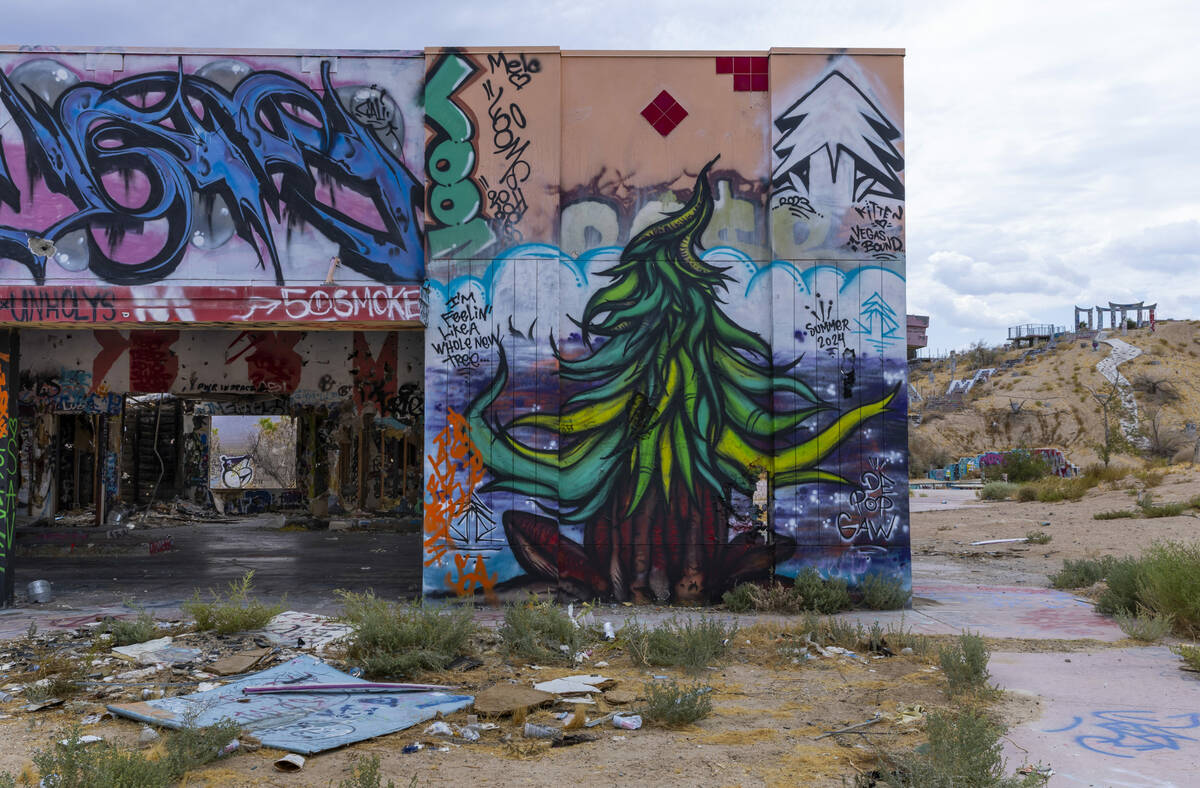 Buildings are heavily damaged and covered in graffiti the former Rock-A-Hoola Water Park on Tue ...