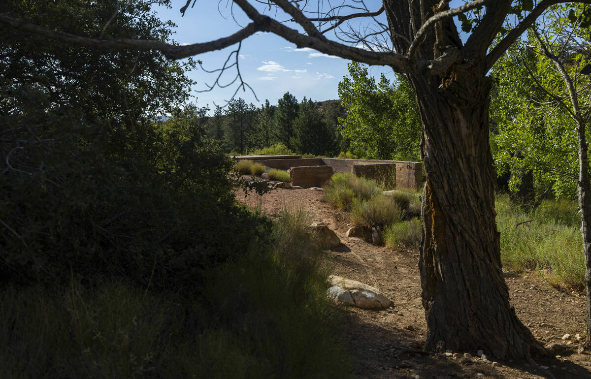 The foundation remains about the former Horace Wilson homestead off the Pine Creek Trail in the ...