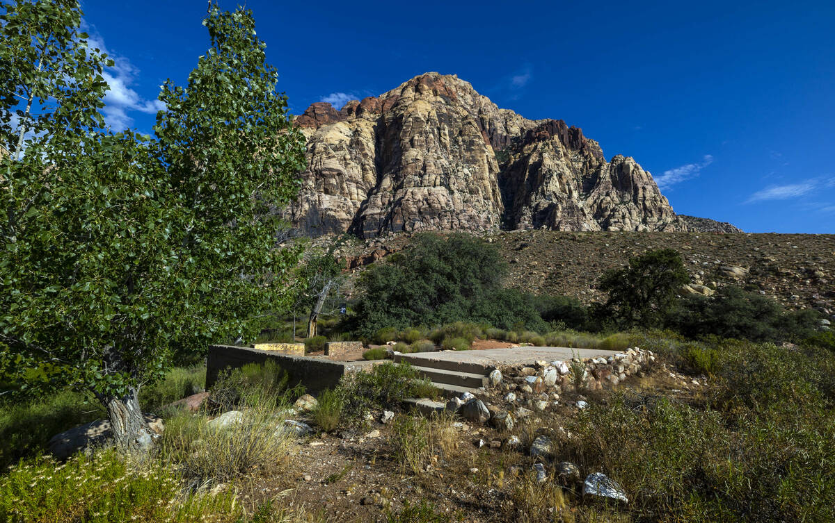 The foundation remains about the former Horace Wilson homestead off the Pine Creek Trail in the ...