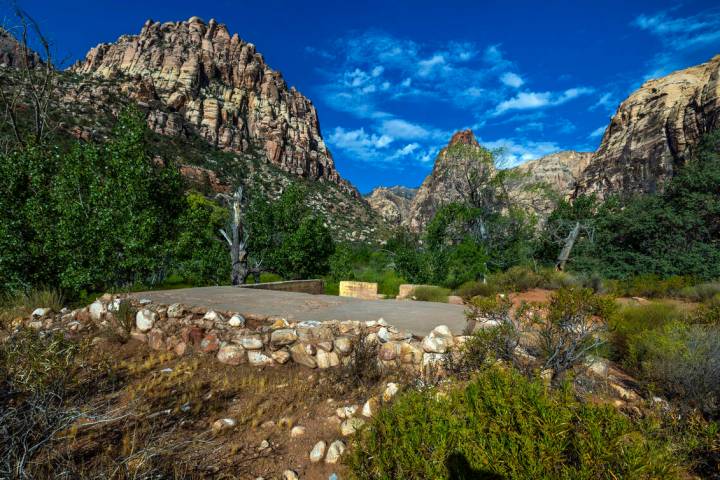 The foundation remains at the former Horace Wilson homestead off the Pine Creek Trail in the Re ...