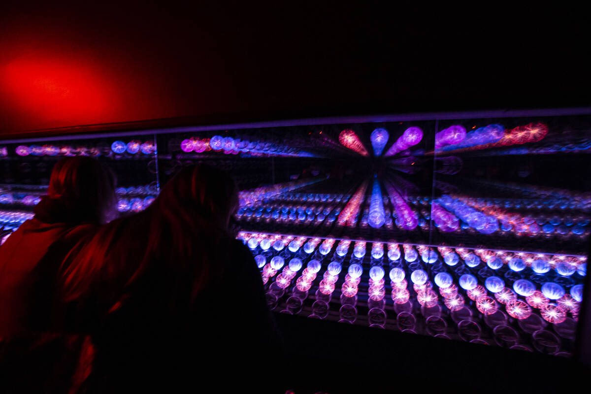 A view of the plasma ball infinity room during a tour of Wink World at Area15 in Las Vegas on T ...