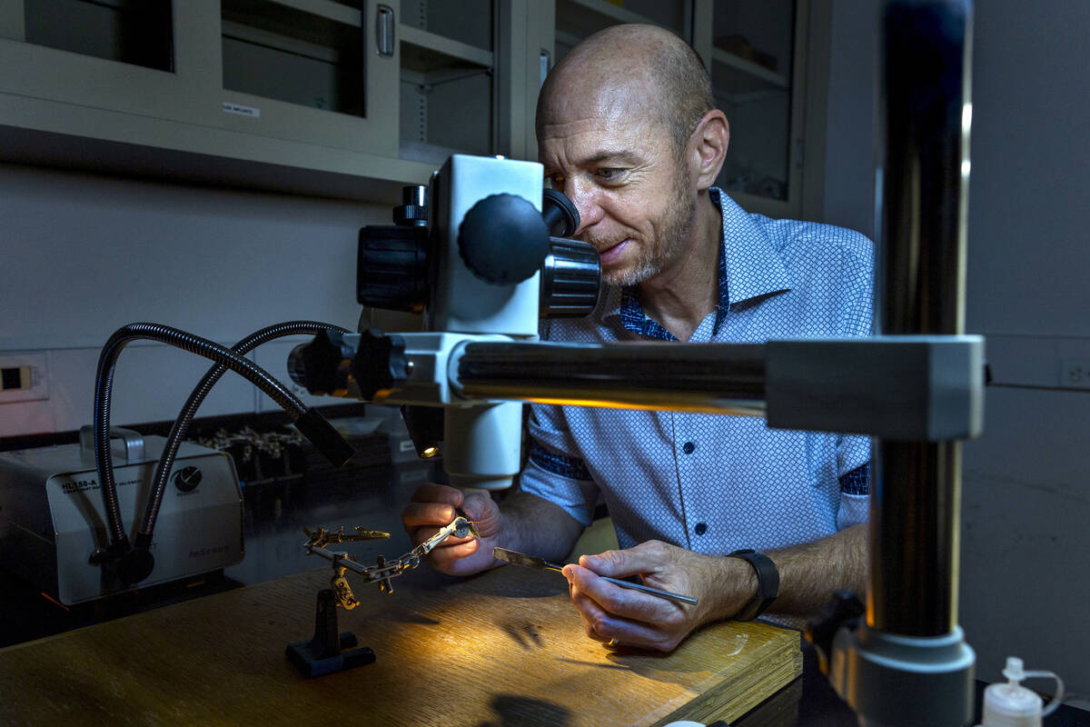 UNLV Dr. James Hyman works with a neural implant for rats his department constructs as part of ...