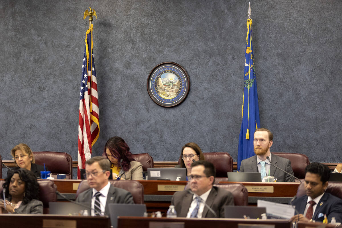 The Assembly Committee on Government Affairs listens to a presentation by the Public Employees ...