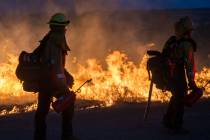 Fire crews light a burn operation along Highway 36 to slow the Park Fire near Dales, Calif., Mo ...