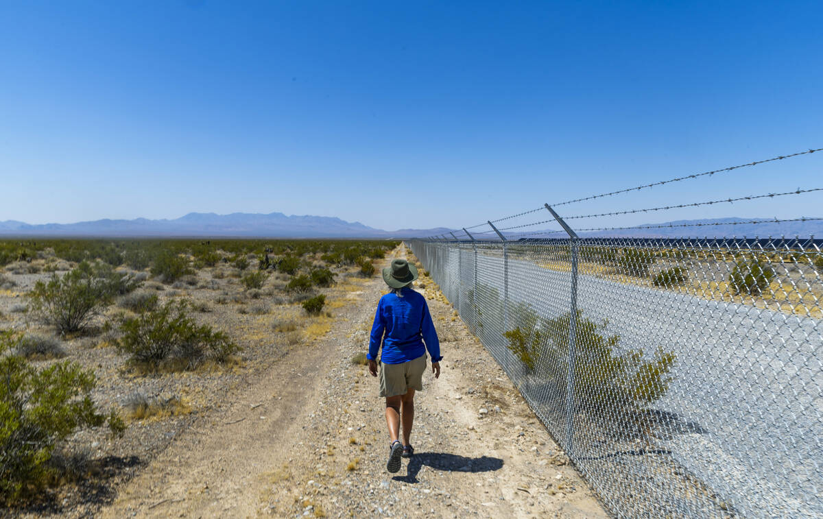 Environmentalist Laura Cunningham walks adjacent to the Yellow Pine Solar Project on July 31, 2 ...