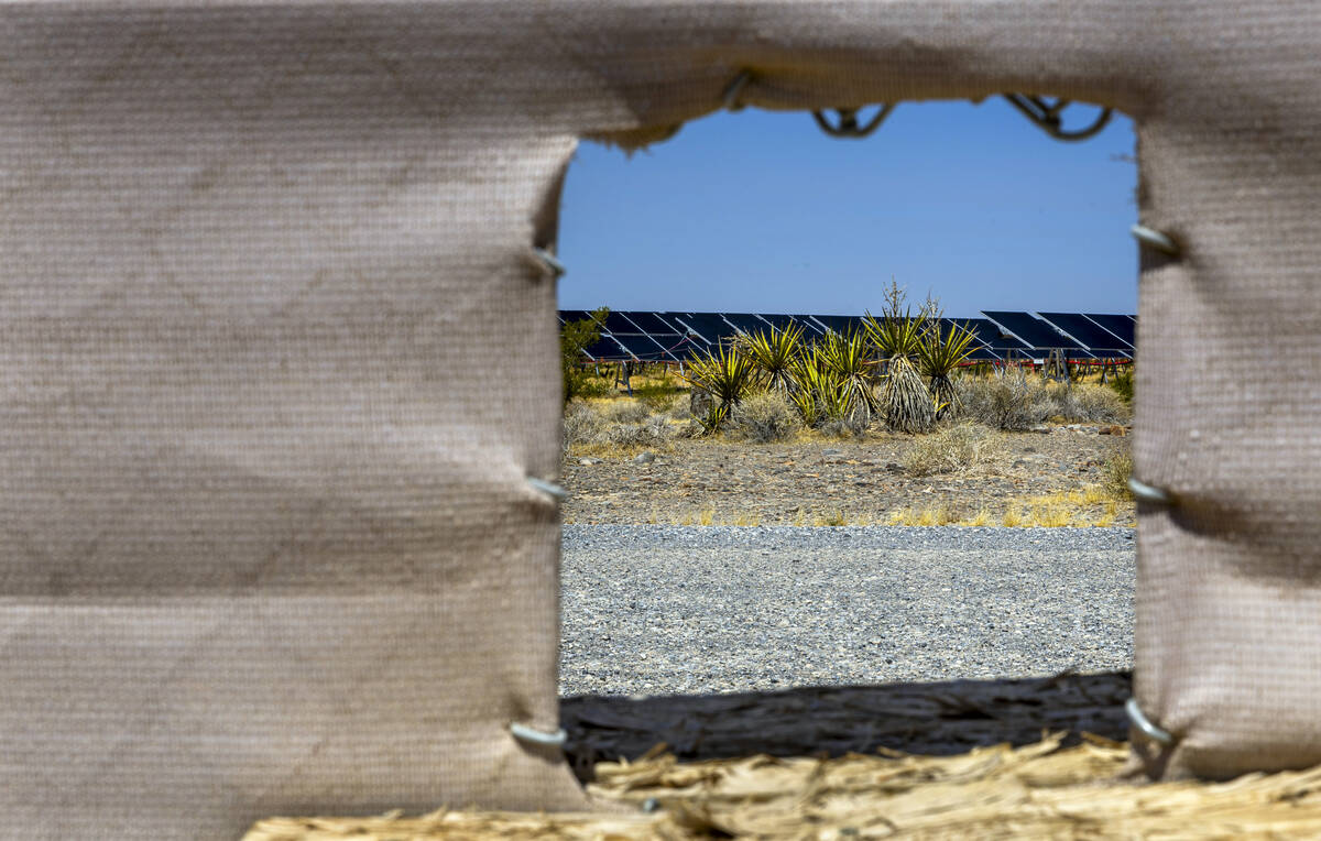 A wildlife passway installed in the fenceline adjacent to the Yellow Pine Solar Project in an a ...