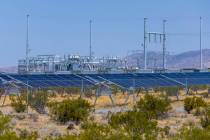 The Yellow Pine Solar Project, shown on July 31, 2024, is the first in existence near where mul ...