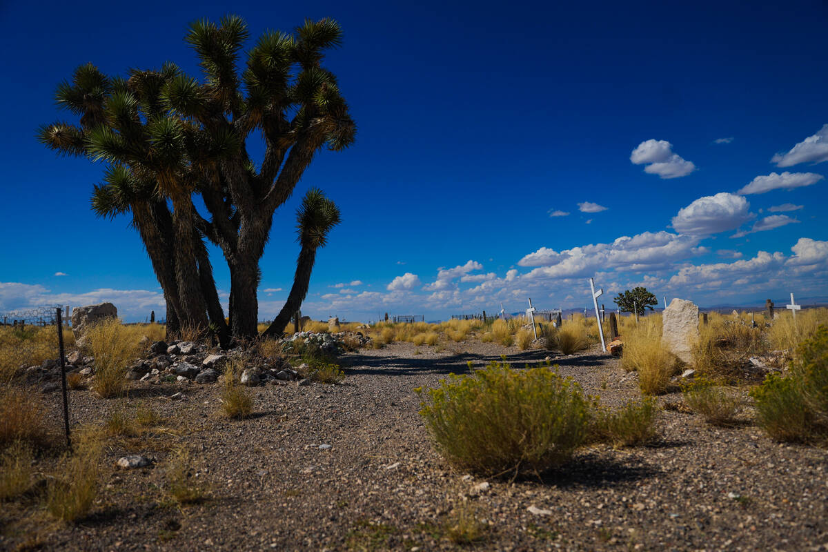 The Goldfield Cemetery is seen on Saturday, Aug. 3, 2024, in Goldfield. (Madeline Carter/Las Ve ...