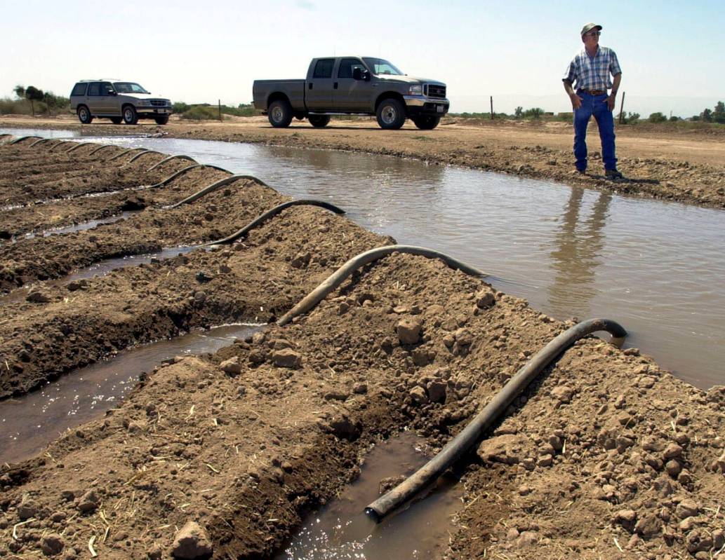 Farmer John Hawk stands by as he irrigates his onion fields in California's Imperial Valley nea ...