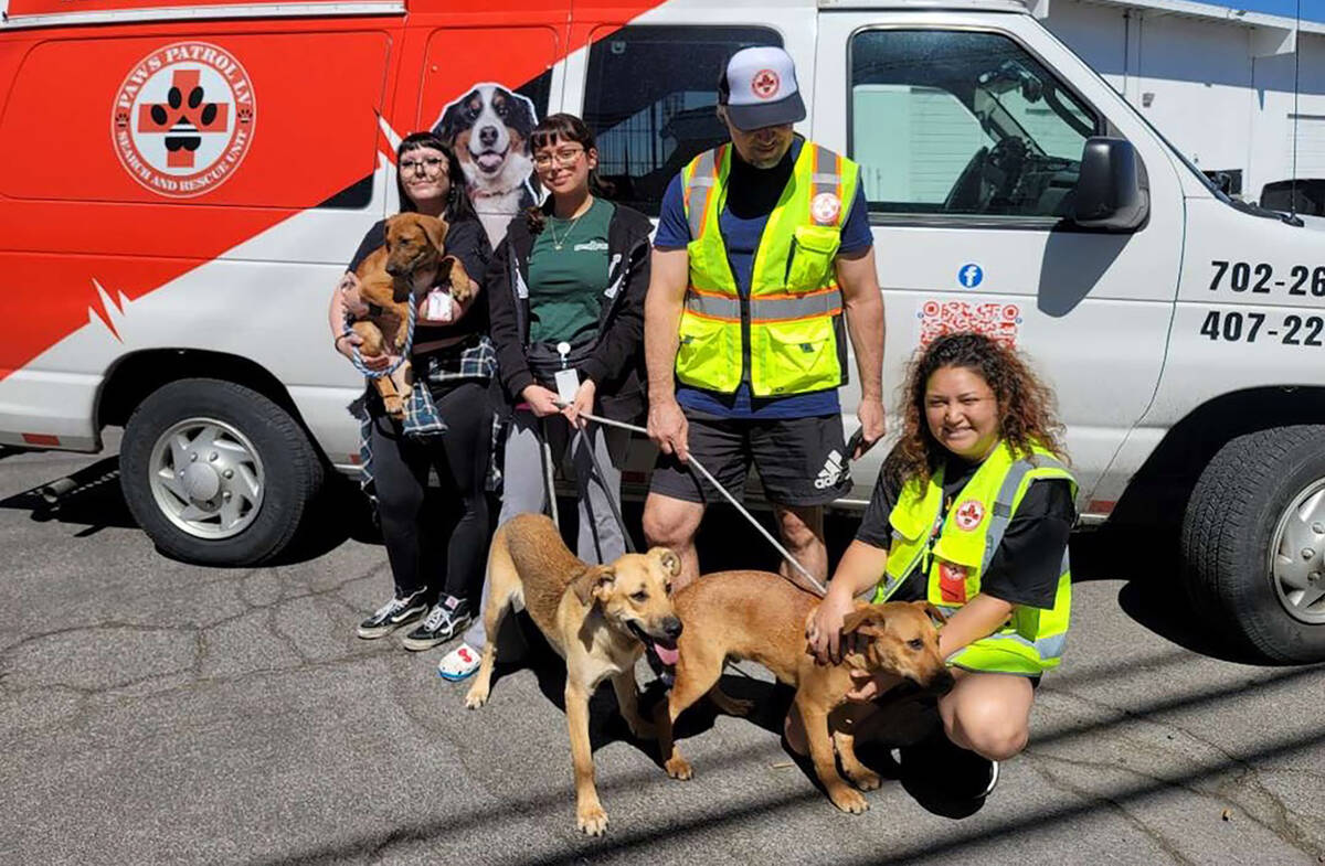 Paws Patrol LV volunteers with the puppies they rescued in early August after spending five nig ...