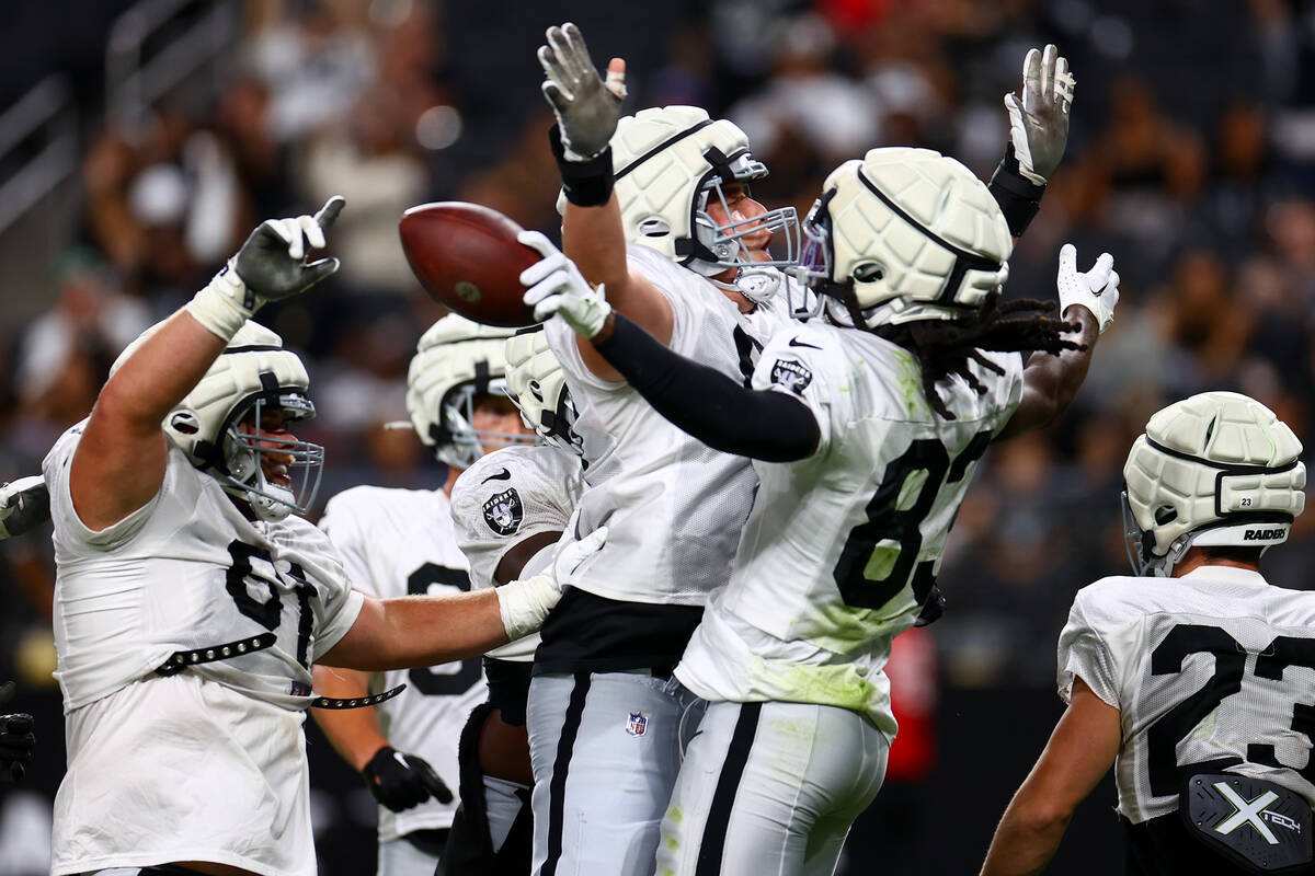 The Raiders celebrate after wide receiver Kristian Wilkerson (83) scored a touchdown during an ...