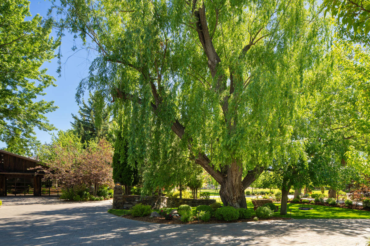 The property features lush landscaping. (Chase International Luxury Real Estate)