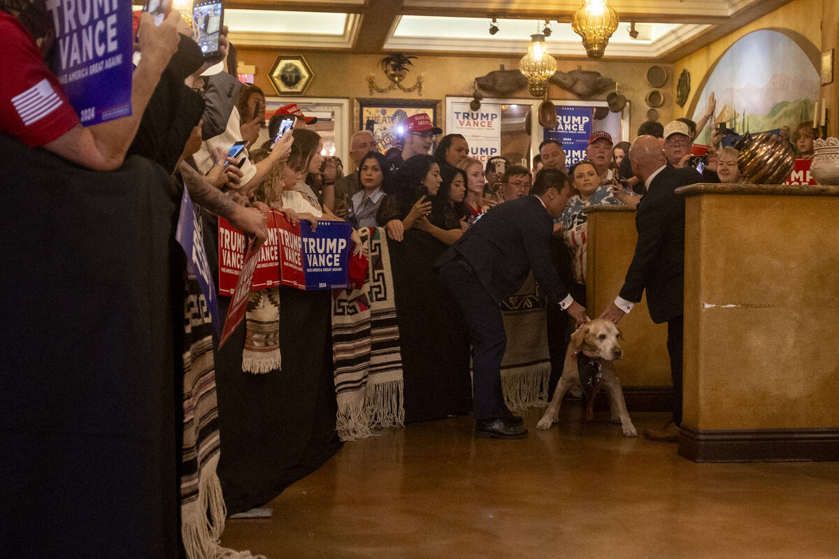 A dog is stopped by members of the Secret Service after making it through a gap in the gates be ...