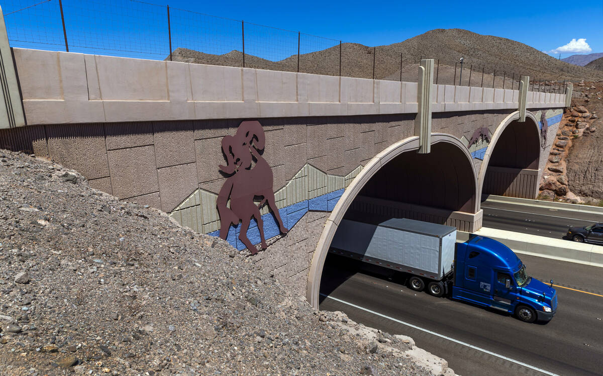 An animal crossing over I-11 near the Lake Mead overlook is seen Friday, Aug. 23, 2024, in Boul ...