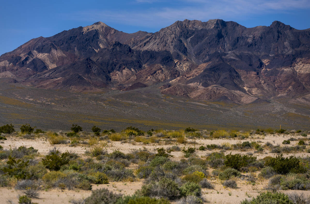 A yellow stake marks one of hundreds of mining claims staked by Rover Critical Minerals on Wedn ...