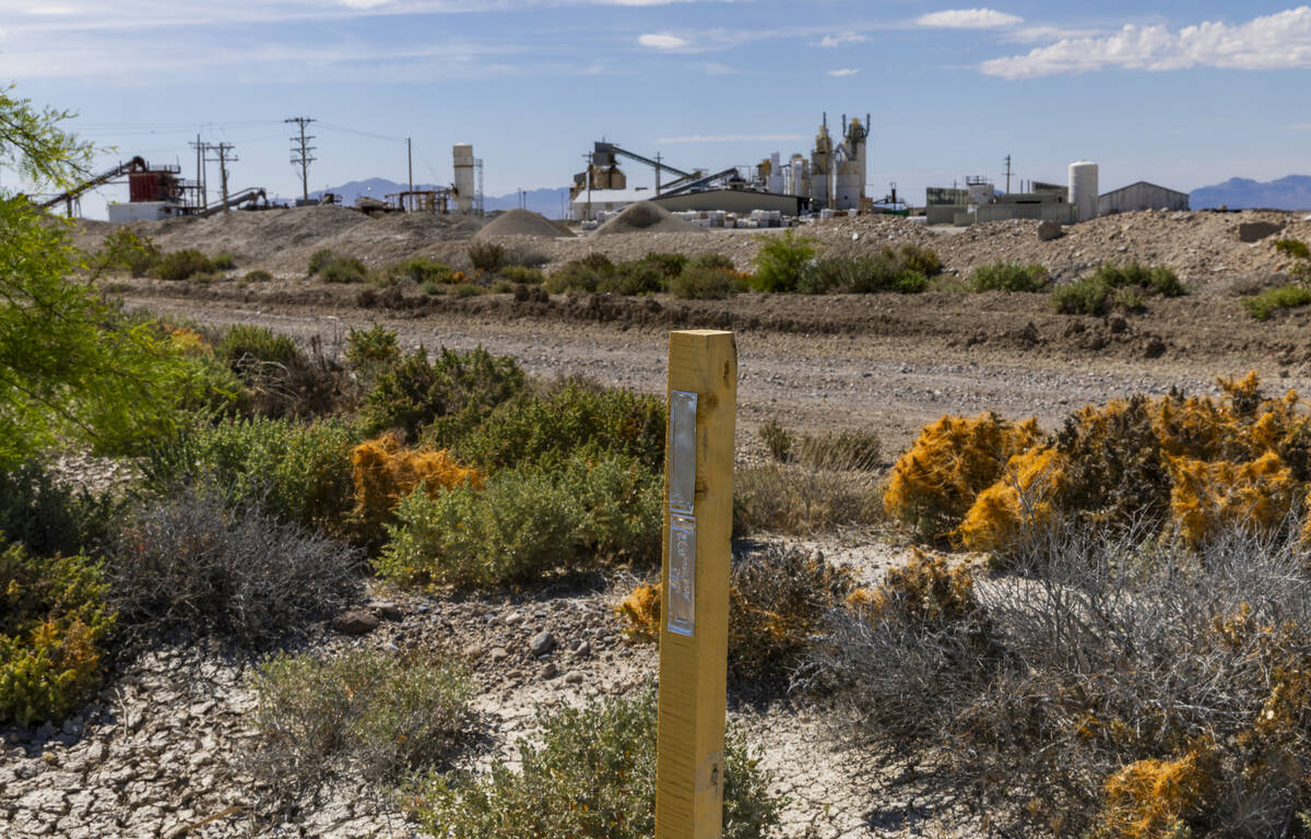 One of hundreds of mining claims staked by Rover Critical Minerals, this one adjacent to the pr ...