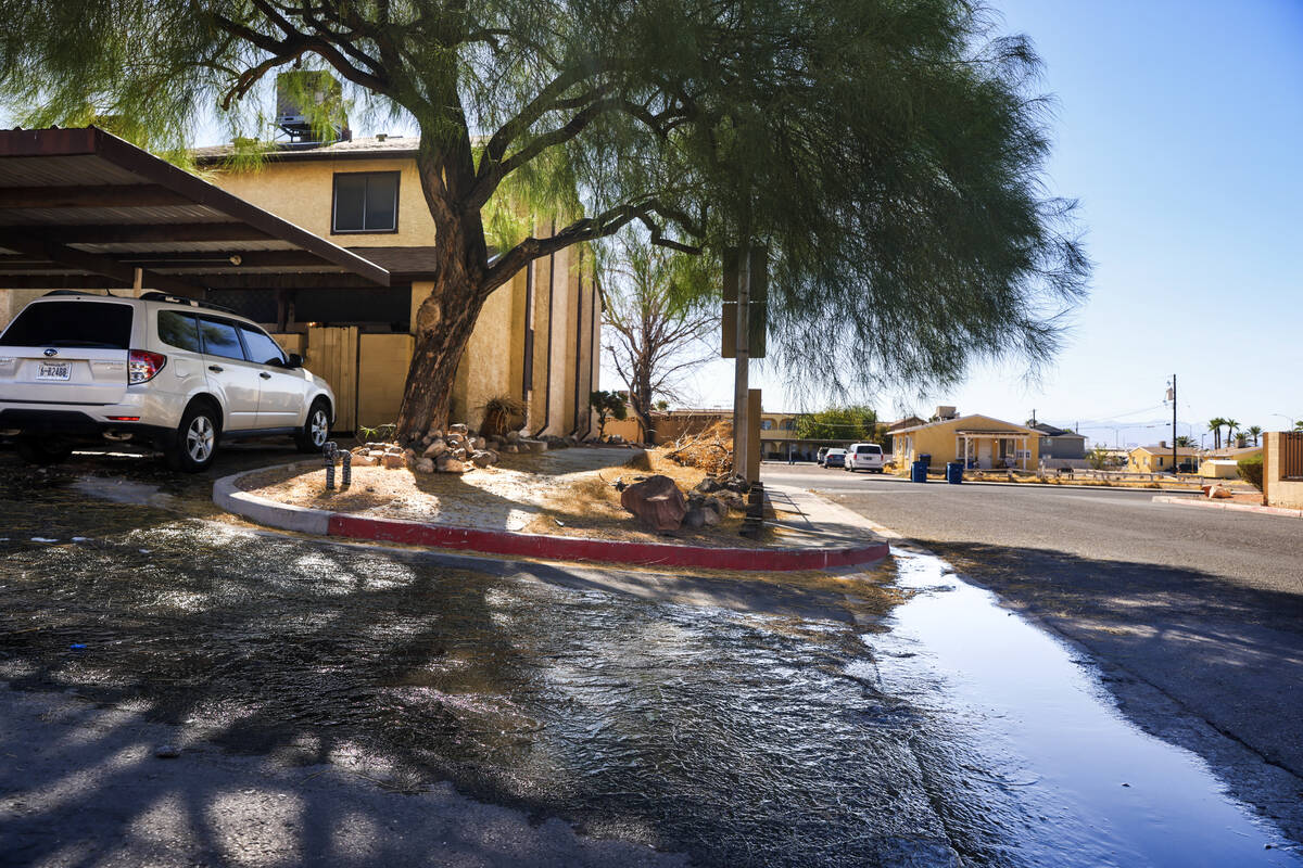 Water pools on a street in Somerset Park in Henderson, Tuesday, Aug. 27, 2024. Residents receiv ...