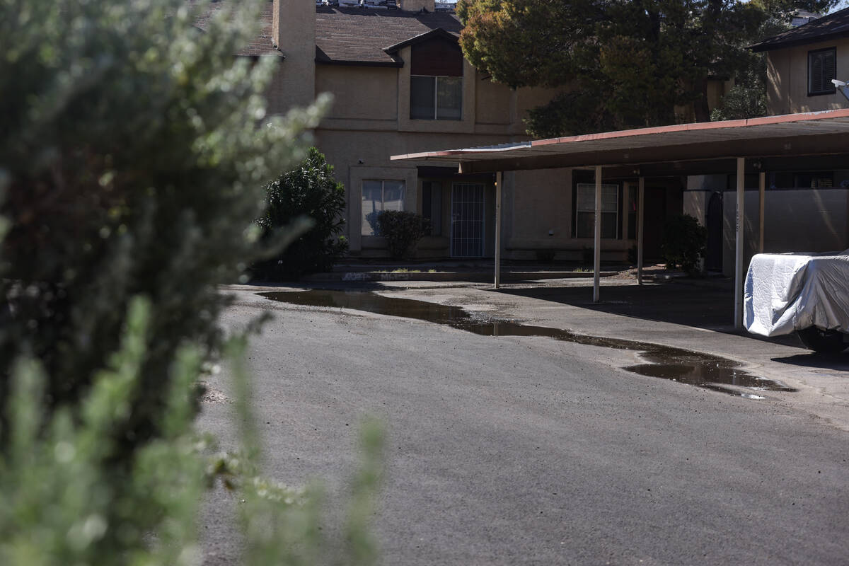 Water pools on the street in Somerset Park, a neighborhood in Henderson, Tuesday, Aug. 27, 2024 ...