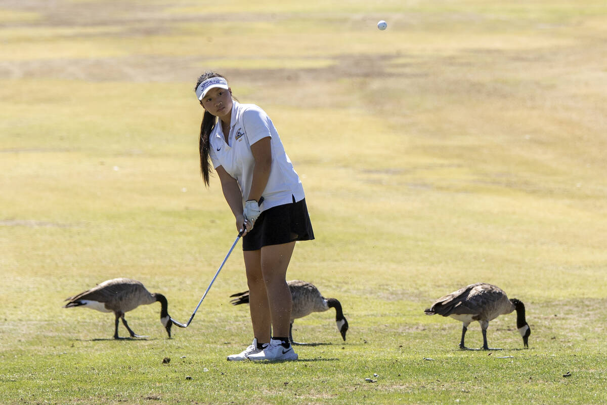 Clark’s Emma Allen chips her ball onto the green during the Class 5A Mountain League gir ...