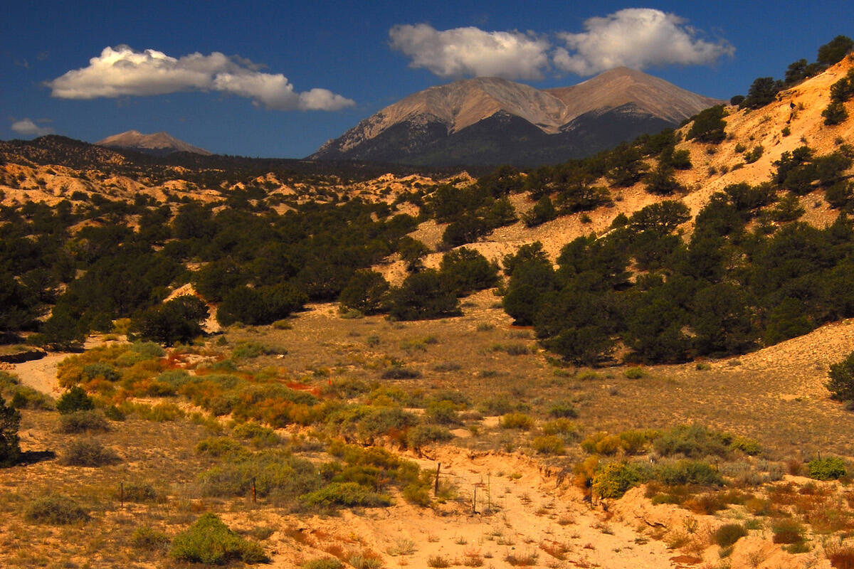 A view of Mount Shavano and a dry river bed in the semi desert area of Buena Vista, Colorado, i ...