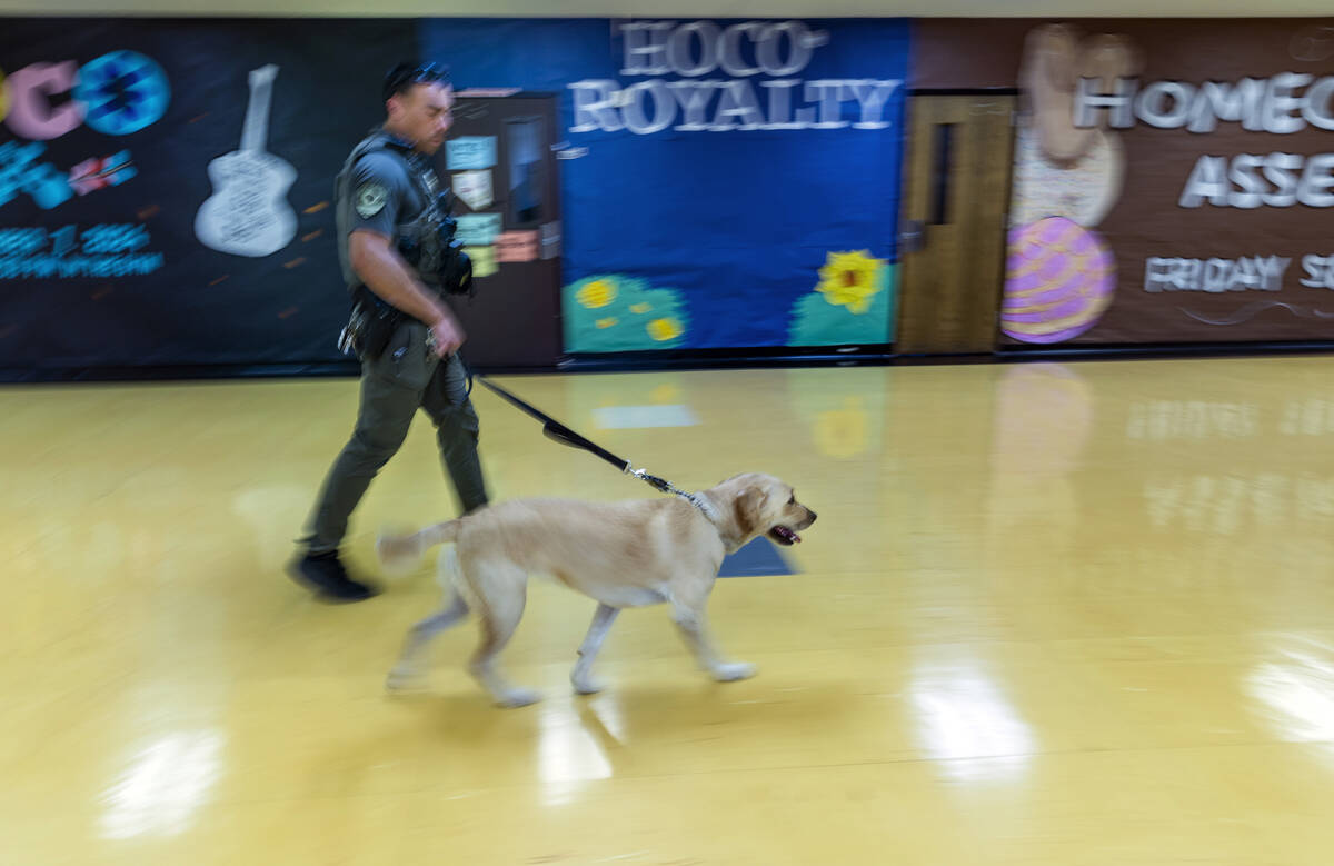 Clark County School District K-9 officer Steven Patty with his working dog Peppermint walk the ...