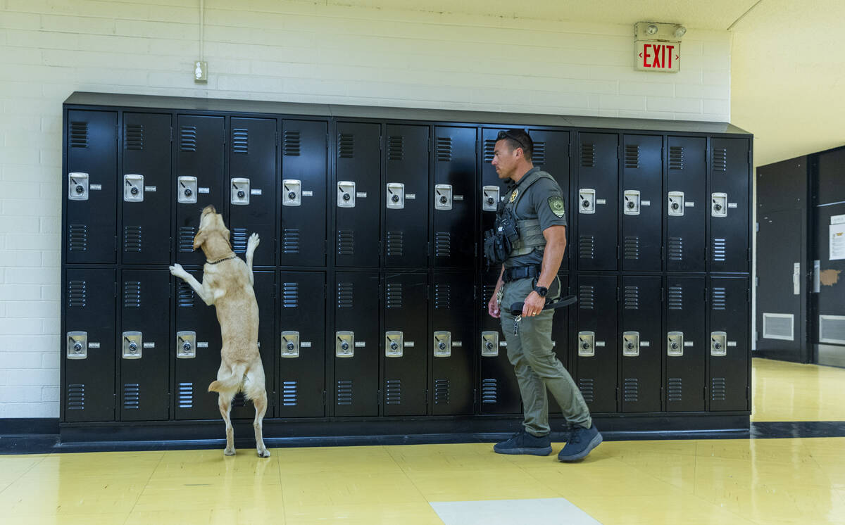 Clark County School District K-9 officer Steven Patty with his working dog Peppermint conduct a ...