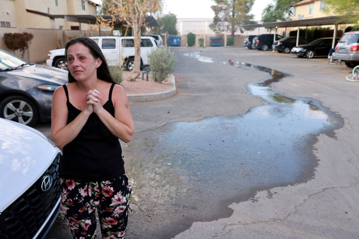 Amanda Ahlstrom, a mother of five who owns a unit at Somerset Park townhouse complex in Henders ...