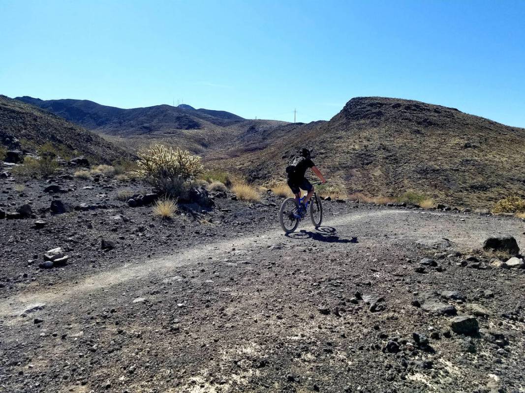 A mountain biker takes to the trails in Southern Nevada’s Sloan Canyon National Conserva ...