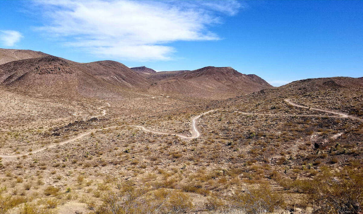 Trails wind through the vastness that is Sloan Canyon National Conservation Area. (Natalie Burt)